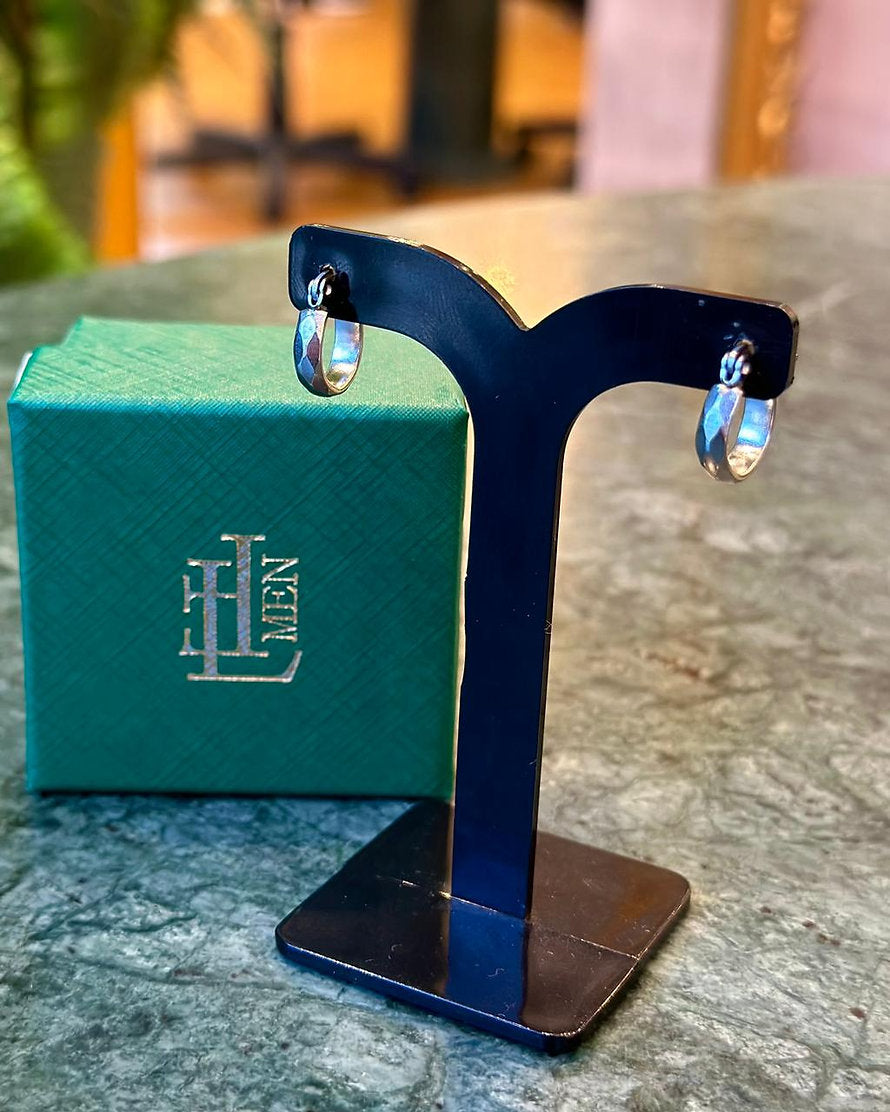 Brinco Argola Diamantada Steel