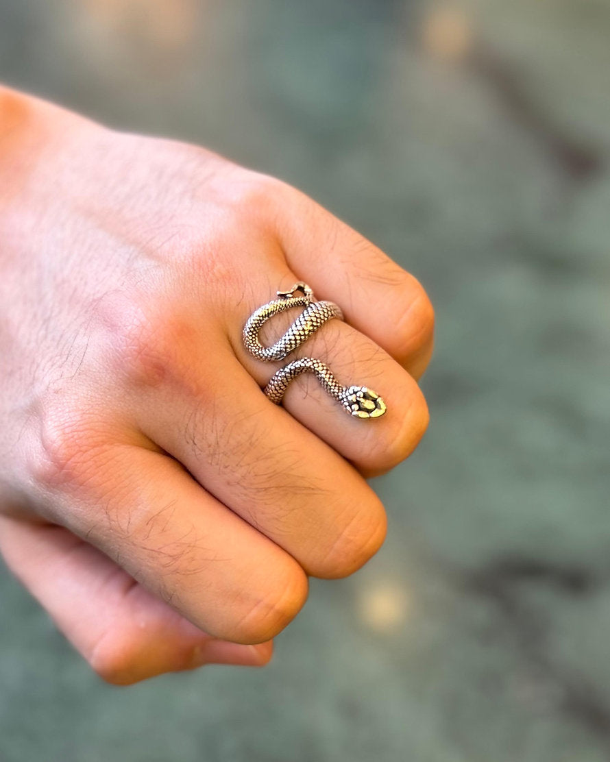 Anel Snake