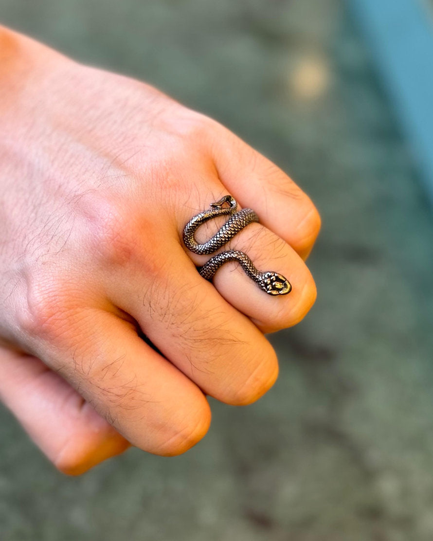 Anel Snake
