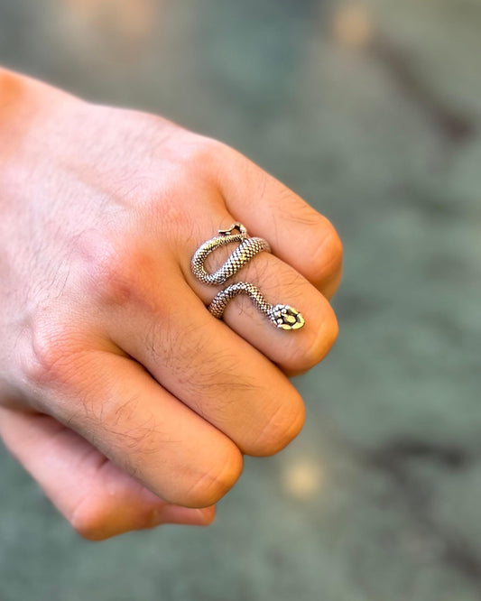 Anel Snake
