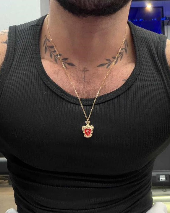 Colar H.P - Escolha a Casa